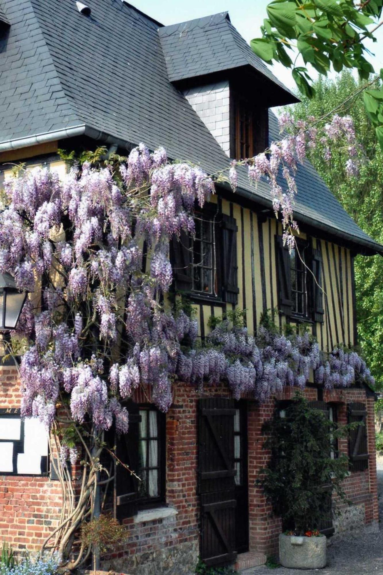 Auberge Du Val Au Cesne Saint-Clair-sur-les-Monts Exteriér fotografie