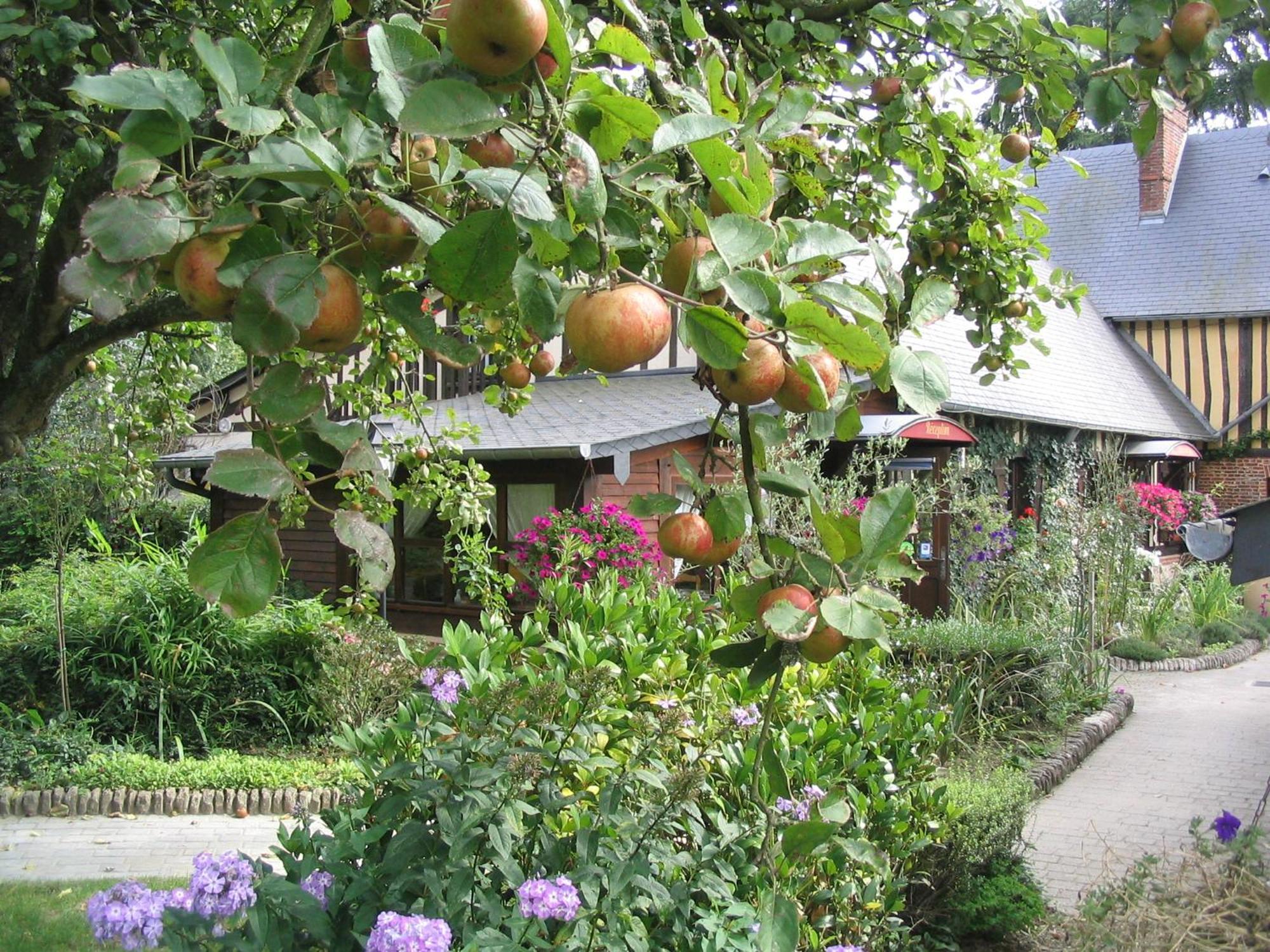 Auberge Du Val Au Cesne Saint-Clair-sur-les-Monts Exteriér fotografie